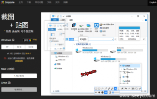 snipaste：设计师必备截图取色工具