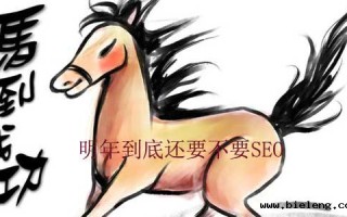 明年到底还要不要seo